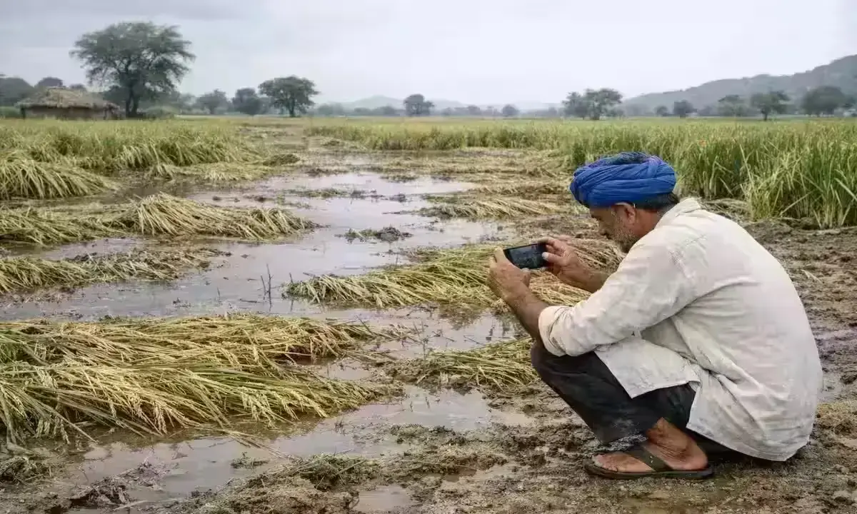 Indian farmer photographing flood-damaged paddy crop for PMFBY claim report within 72-hour window, Kharif 2026